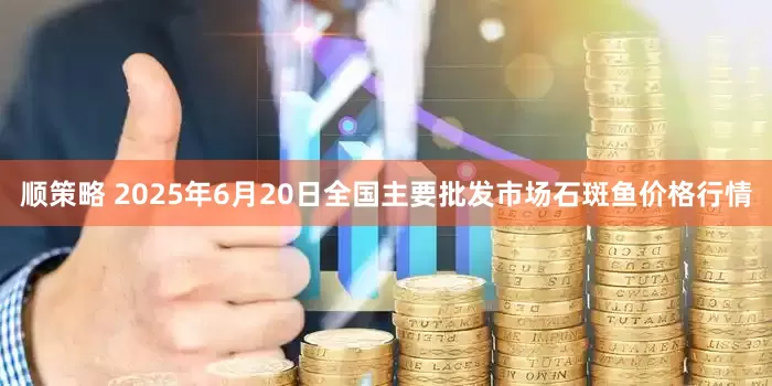 顺策略 2025年6月20日全国主要批发市场石斑鱼价格行情
