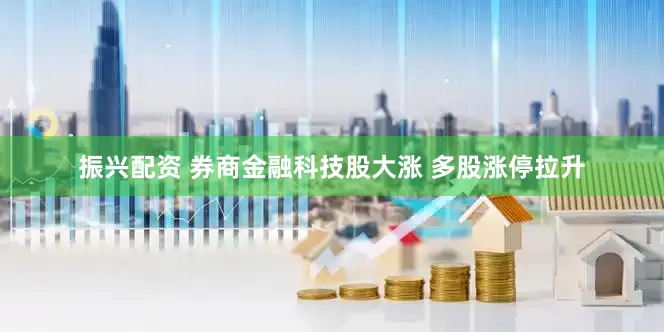 振兴配资 券商金融科技股大涨 多股涨停拉升