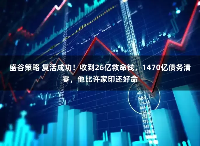 盛谷策略 复活成功！收到26亿救命钱，1470亿债务清零，他比许家印还好命