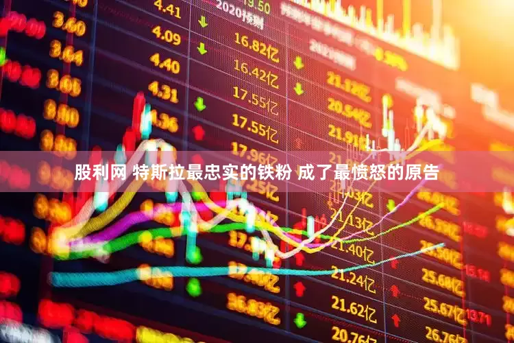股利网 特斯拉最忠实的铁粉 成了最愤怒的原告