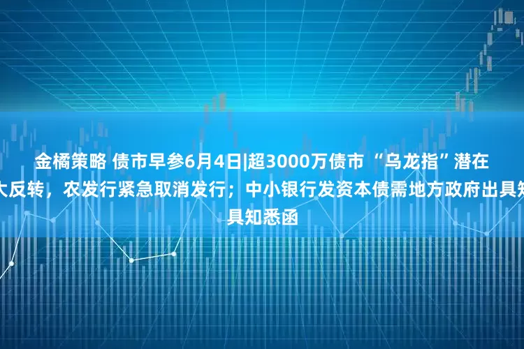 金橘策略 债市早参6月4日|超3000万债市 “乌龙指”潜在损失大反转，农发行紧急取消发行；中小银行发资本债需地方政府出具知悉函