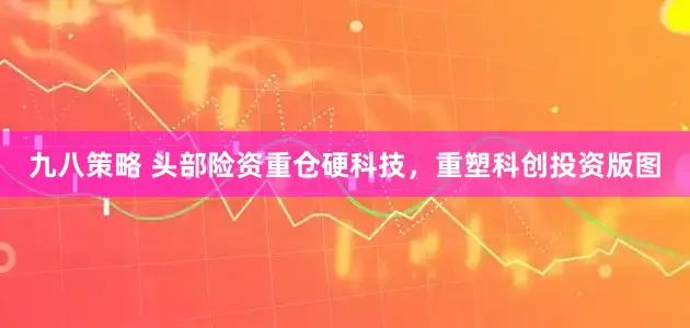 九八策略 头部险资重仓硬科技，重塑科创投资版图
